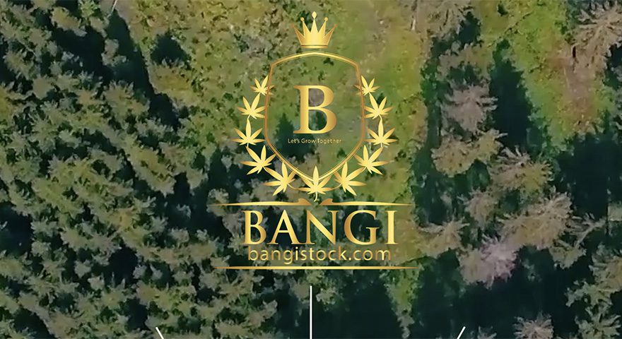 BANGI-SS